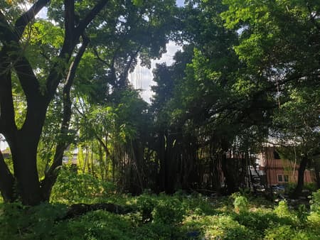 Suan San Pocket Park